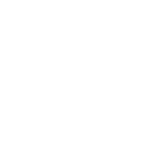 logo-di-lick